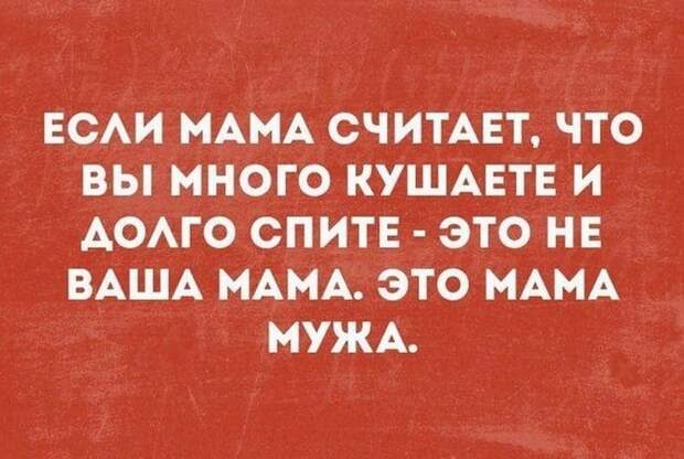Смешные и жизненные анекдоты, которые точно заставят вас хохотать