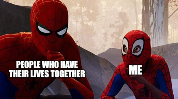 Best Spider-Man Memes