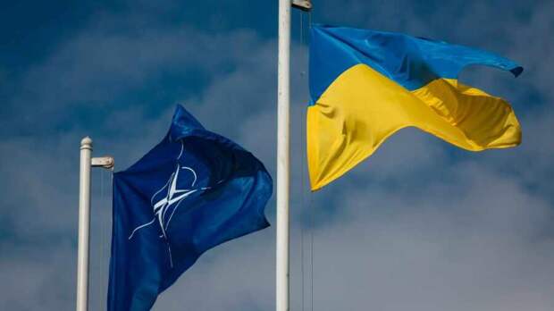 Для военных стран НАТО Украина станет братской могилой