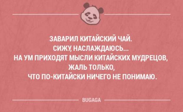 Прикольные фразы в картинках с надписями. Часть 78 (17 шт)