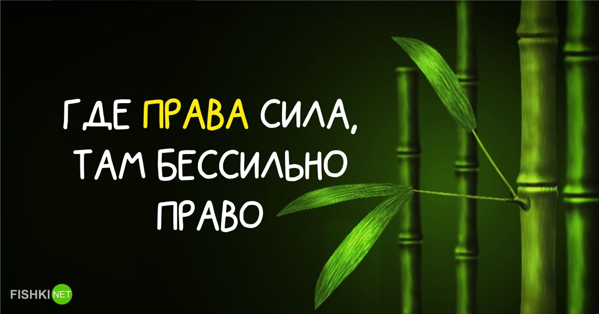 20 мудрых японских поговорок (продолжение)