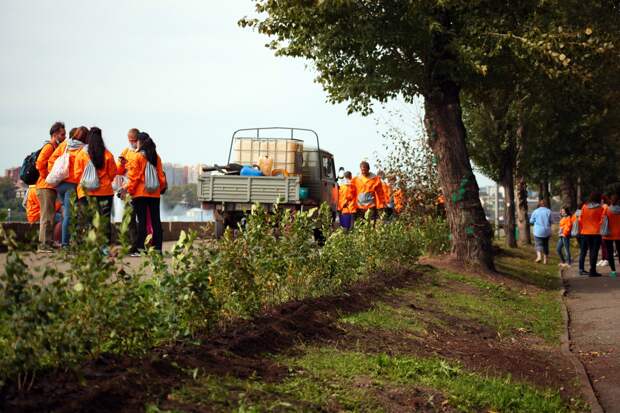 500 саженцев кизильника посадили волонтеры на акции «360» в Иркутске. Фото