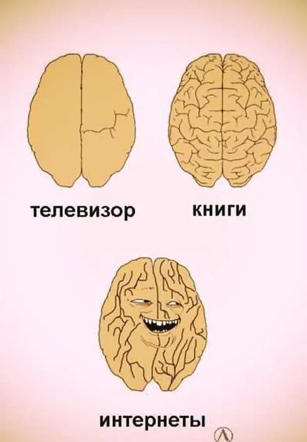 Читать мозги. Мозг смешные картинки. Мозг глупого человека и умного человека.