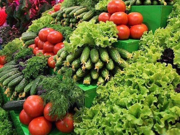 Минсельхоз России: собрано на 20,7% больше тепличных овощей, чем в прошлом году