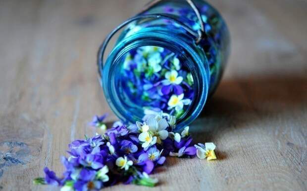 Как создать потрясающий цветочный запах в комнате?