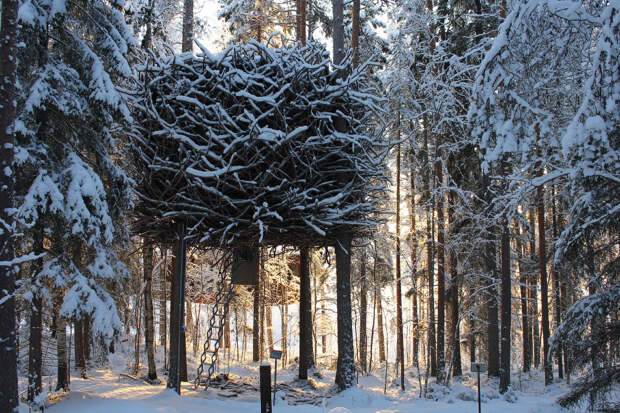 Treehotel). 