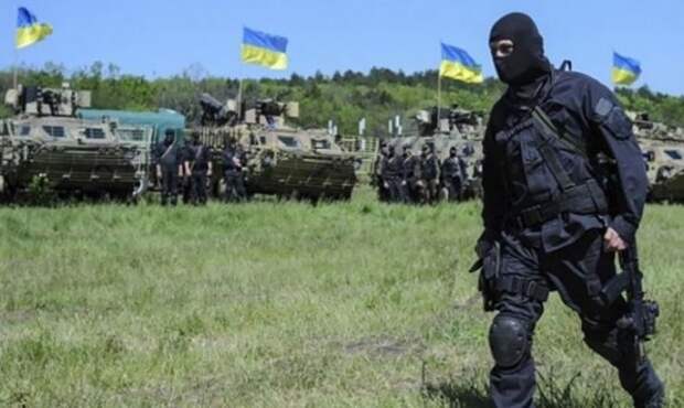 На Украине предложили новый способ агрессивной борьбы с россиянами