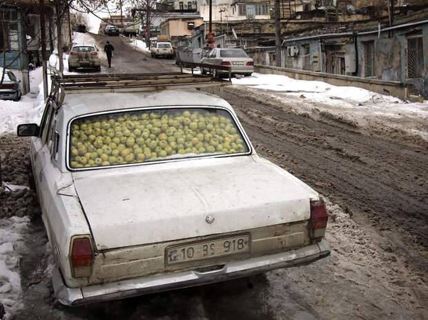 NatGeoMay21 NatGeoMay21 Обои для рабочего стола от National Geographic за май 2013