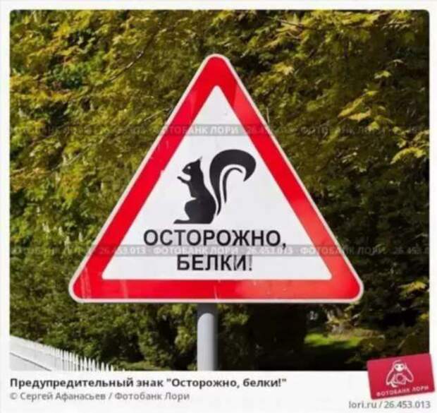 Предупреждающие таблички. Прикольные. Подборкаchert-poberi-tablichki-22280111072020-4 картинка chert-poberi-tablichki-22280111072020-4