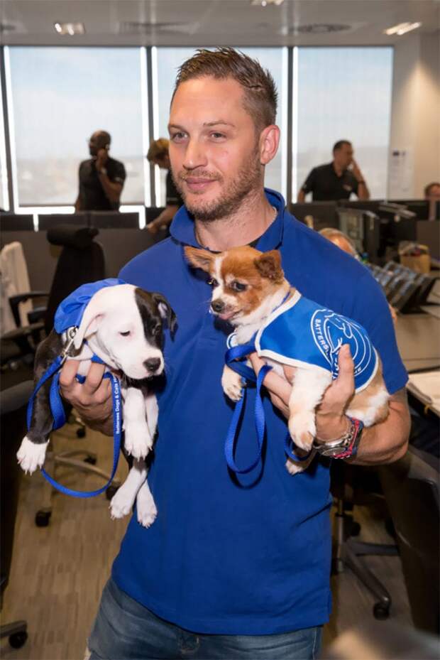 https://sobakibalabaki.com/wp-content/uploads/2017/09/love-for-dogs-tom-hardy-59bf7aa270fdc__700-683x1024.jpg