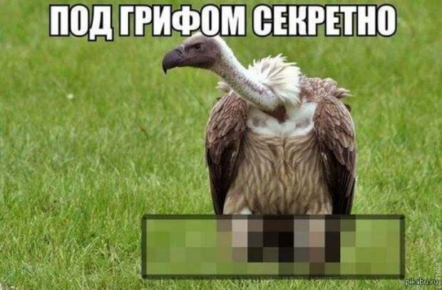 Смешные картинки и фото в понедельник (50 шт)