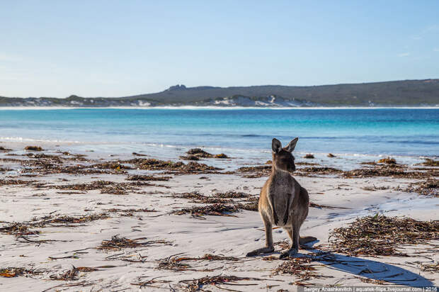 Lucky Bay