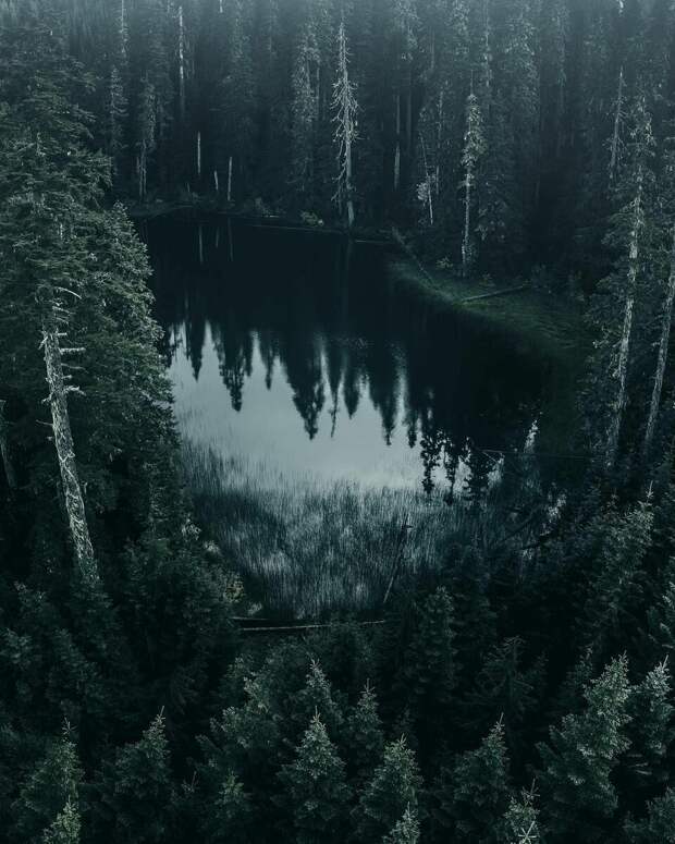 Чёрное озеро. Источник фото: https://i.pinimg.com/originals/28/c1/17/28c11781d01c7a09623e39bc5db8a647.jpg