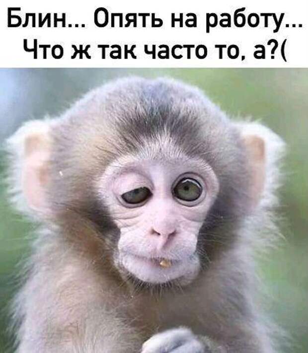 Шутки для отличного настроения