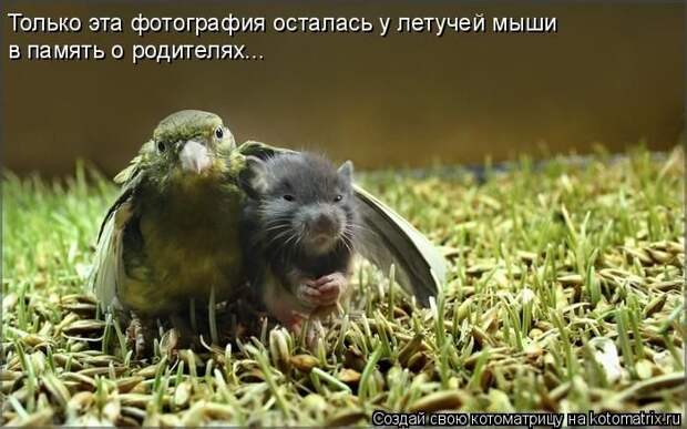 смешинка