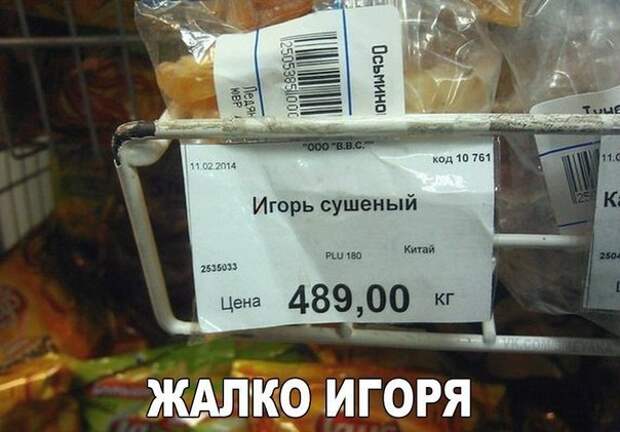 w6VLuitZG1E