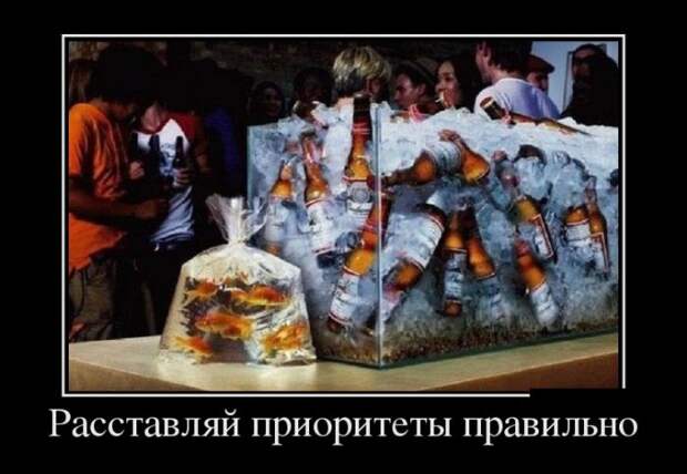 Демотиваторы (30 фото)