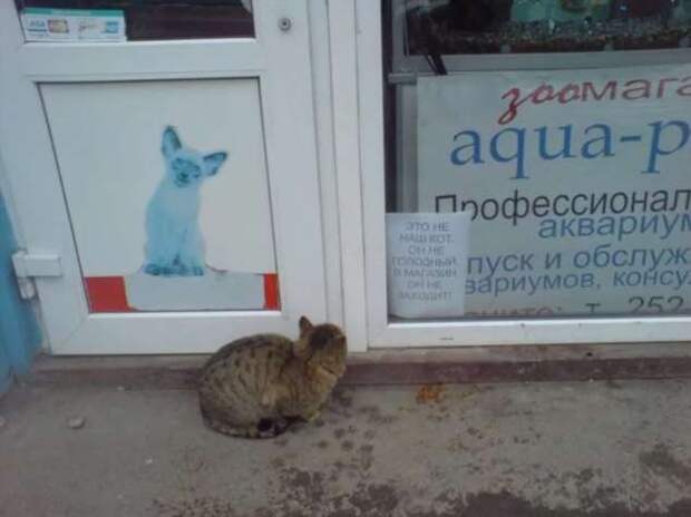 Прикольные вывески. Подборка chert-poberi-vv-chert-poberi-vv-13570217102020-16 картинка chert-poberi-vv-13570217102020-16