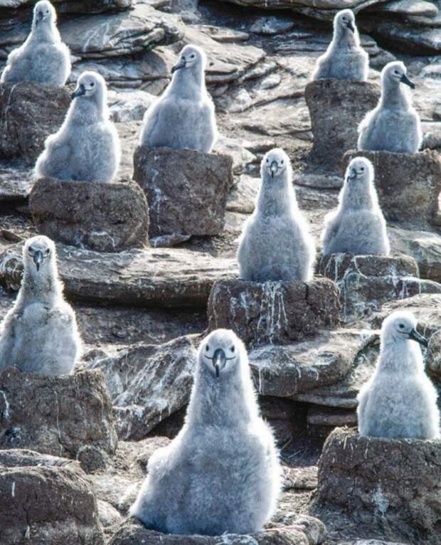 Фотоподборка