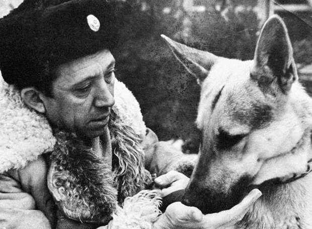 На съемках фильма «Ко мне, Мухтар!», 1964 год, фото Чернова / РИА «Новости». интересное, история, кино, собаки