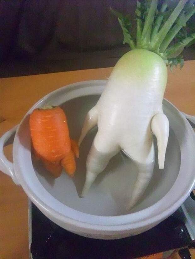 Овощи похожие на нечто другое овощи, овощ