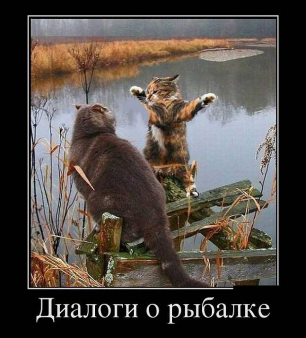 Демотиваторы