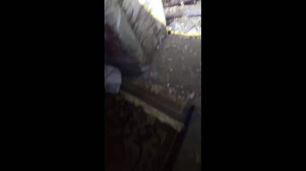 Макеевка,Бажаново,Руднева 5 подъезд…утопаем в говне…жек ничего не делает…администрация тоже…куда обращаться мы не знаем&he...