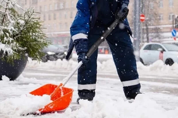 В Петербурге дворник помог полиции задержать пьяного водителя
