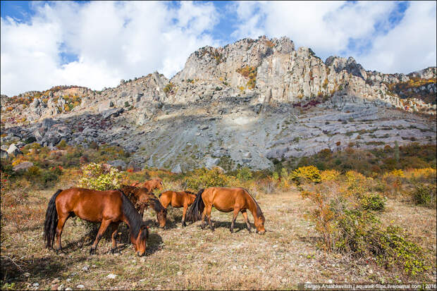 Осень в Крымских горах