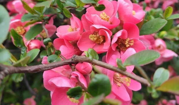 Минтруду РФ предложили увеличить майские праздники