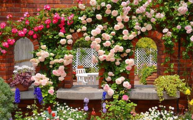 Картинки по запросу розы в саду дизайн