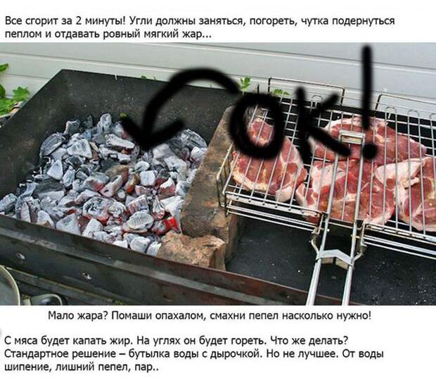 Выбираем мясо на шашлыки