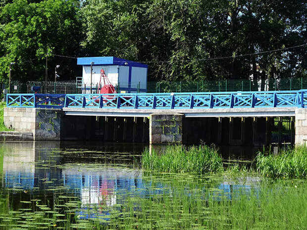 Цнинский бейшлот Цнинский бейшлот