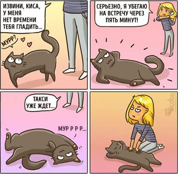 Как меняется жизнь с появлением в доме кота (20 картинок)