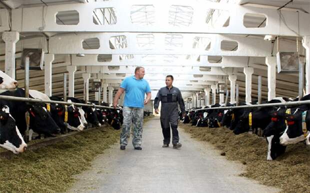 1220 вакансий представлено в базе АПК Рязанской области