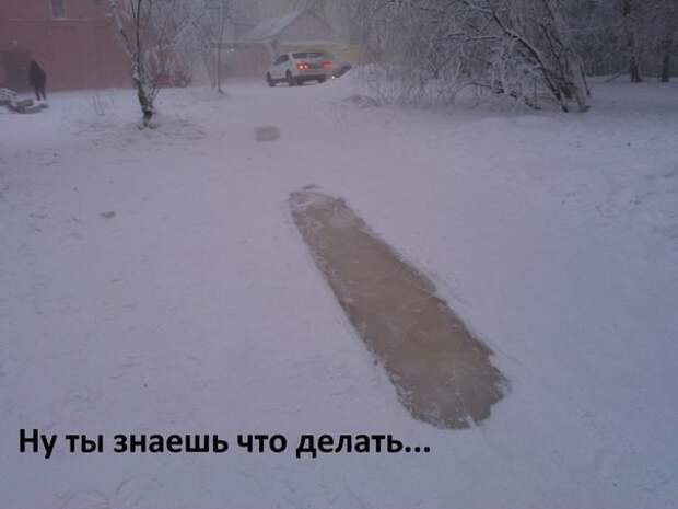 Смешные картинки с надписями прикол, юмор