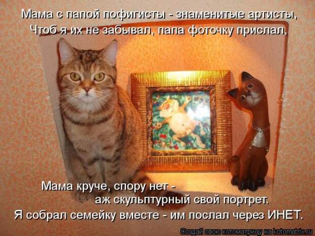 Лучшие котоматрицы недели (50 фото)