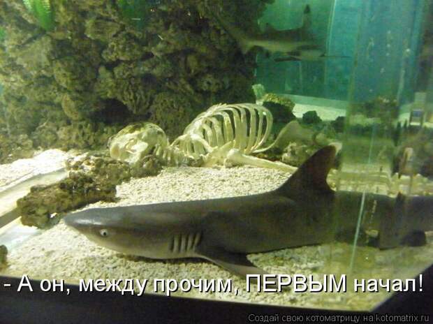 Котоматрица: - А он, между прочим, ПЕРВЫМ начал!