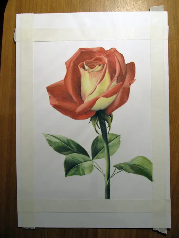 Рисуем розы мастер класс