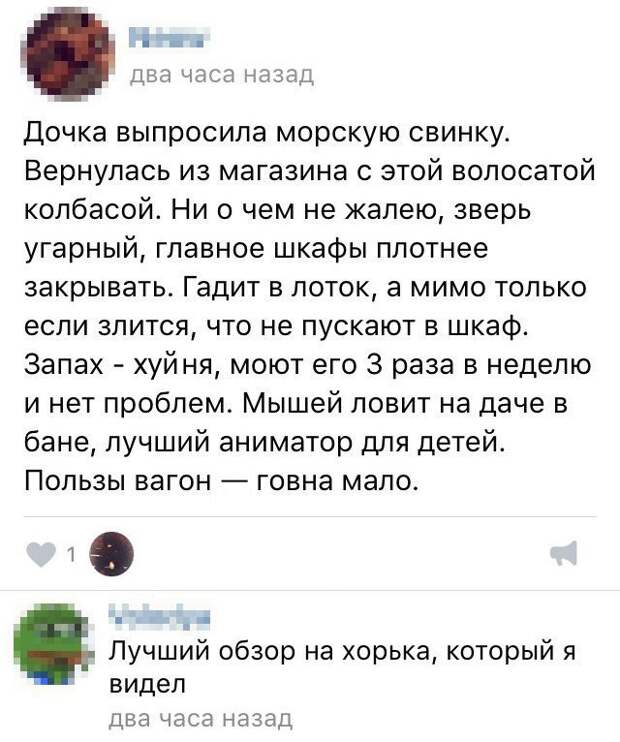 IKESfwiVLFo