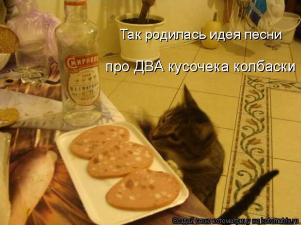 Лучшие котоматрицы недели (50 фото)