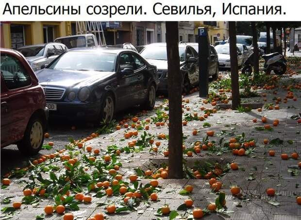 Пятничная подборка забавных картинок (28 фото)