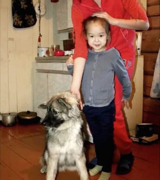 Эта 3-летняя малышка 11 дней блуждала по дикому лесу. Вот, кто все время был с ней Эта 3-летняя малышка 11 дней блуждала по дикому лесу. Вот, кто все время был с ней девочка, собака