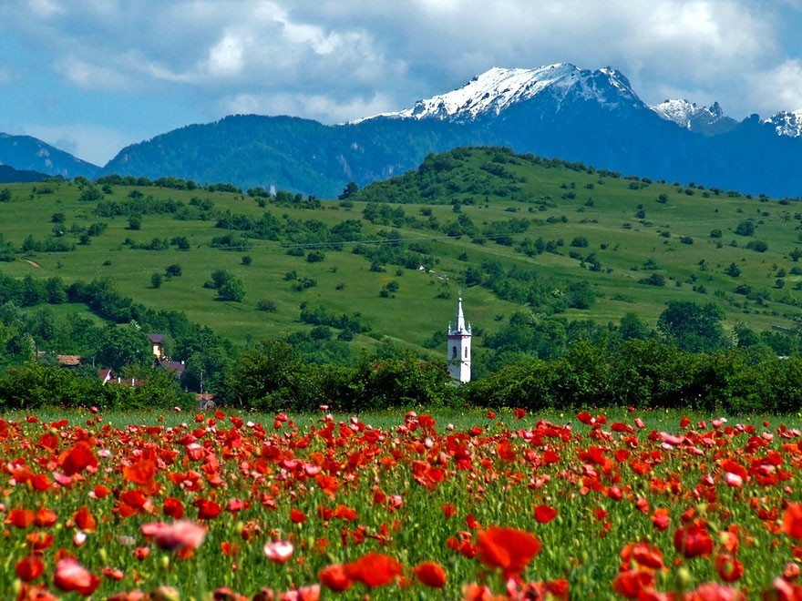 Romania23 50 причин посетить Румынию