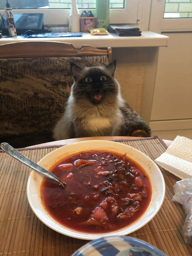 D9zXjOmxaW8 (525x700, 400Kb)