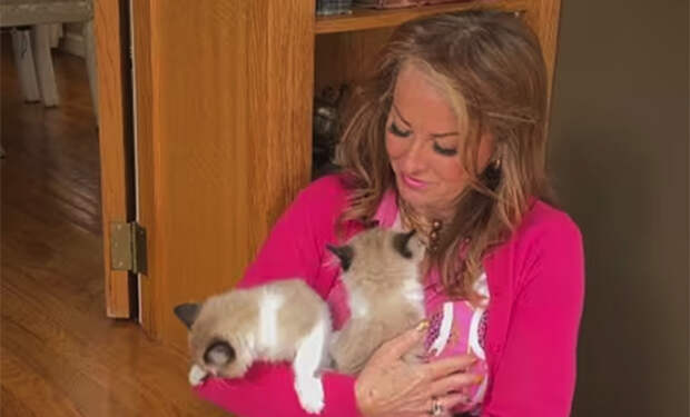 Жительница Канады так скорбила по коту, что заказала клона. Новый кот обошелся в 50 тысяч долларов
