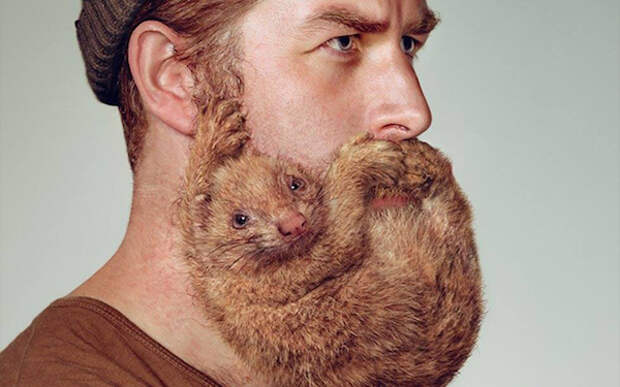 Необычные бороды в рекламе Schick.