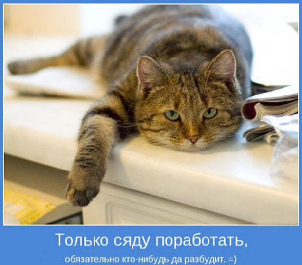 Смешные мотиваторы про работу