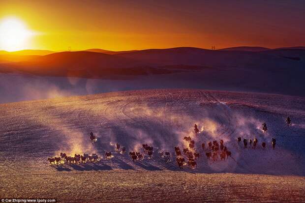 Фотоконкурс Travel Photographer of the Year: кадры, которыми гордился бы любой фотограф