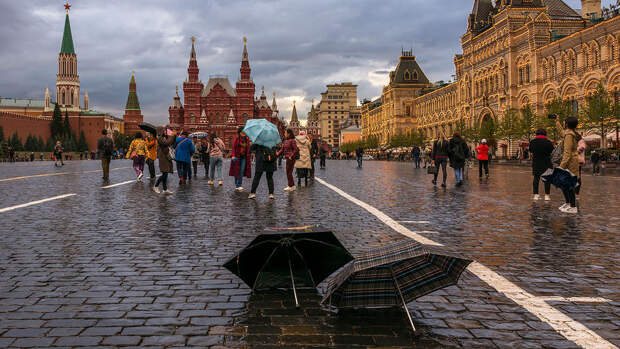 Облачная погода и температура до +2°C ожидаются в Москве в пятницу